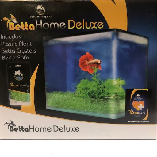 Betta fish home best sale